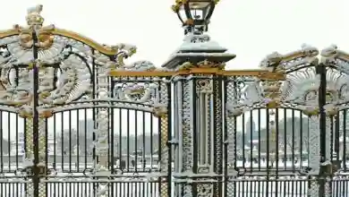 سفارش درب حیاط فرفورژه تاج دار